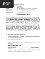 Acta de Audiencia Unica, Sentencia y Recurso de Apelacion