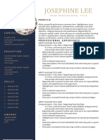 Ricebowl Academy Resume Template 01