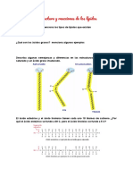 Estructura de Los Lípidos