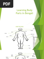 Learning Body in Bangla