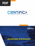 Bioquímica Laboratorio Sem-05 - Determinación de Urea 2021-2