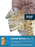 Lab Manual - Cranial Nerves - Atlas - Part - 1