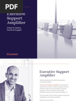 Executive Support Amplifier: Guide