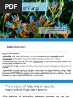 Diversity of Fungi: Prilya Dewi Fitriasari, M.SC UIN Maulana Malik Ibrahim