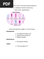 Anticoncepcion Informe