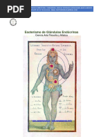 Esoterismo de Glándulas Endócrinas Gnosis