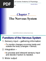 The Nervous System: Elaine N. Marieb