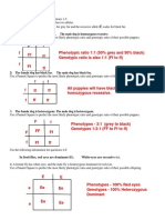 Punnett Square Practice Worksheet: 1) The Female Dog Is Heterozygous. The Male Dog Is Homozygous Recessive