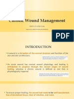 Chronic Wound Managment HMI