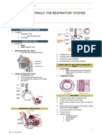 Semifinals Respiratory System