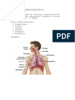 Resumo - Sistema Respiratório