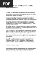 Las Fuentes Energeticas Del Ser Humano