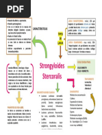 Strongyloides Stercoralis