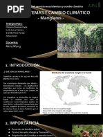 Ecosistemas Y Cambio Climático - Manglares - : Integrantes