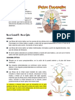 Clase 8 - Nervios Cranelaes (Recuperado Automáticamente)