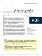 Inflammation and Depression A Causal or Coincidental Link To The Pathophysiology