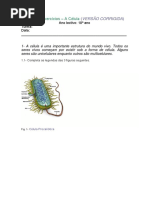 Ficha de Exercícios A Célula (VERSÃO CORRIGIDA) Ano Lectivo - 10º Ano Turma - Data