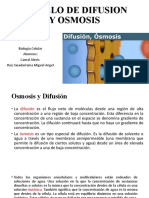 Modelo de Difusion y Osmosis