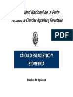 Teoria Pruebas de Hipotesis I MD 2020