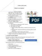 PP.3 Presión y Pulso Arterial