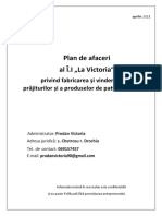 Plan de Afaceri - Docxpv