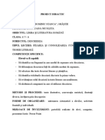 Proiect Didactic Descrierea