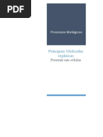 Principais Moléculas Orgânicas