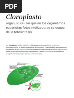 Cloroplasto - Wikipedia, La Enciclopedia Libre