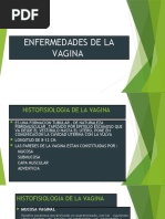 4 Clase - Patologias de La Vagina