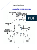 AstrologÃ A Y GlÃ¡ndulas Endocrinas (Augusta Foss Heindel)