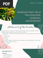 Handmade Paper Out of Mao Luang Bark (Antidesma Puncticulatum)