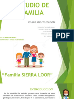 Estudio de Familia Ariel