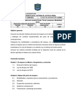 Amparo y Jurisprudencia en El Sistema de Justicia Penal.