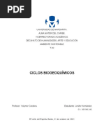 Ciclos Biogeoquimicos