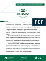 Cindura Literatura