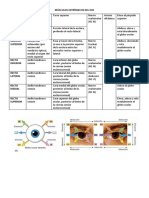 Músculos Extrínsecos Del Ojo