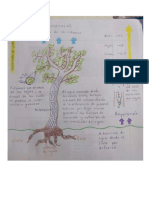 Propiedades Fisicoquimicas de Las Plantas