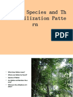 Rattan Species and TH Eir Utilization Patte RN