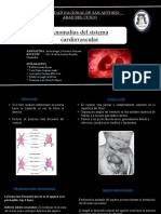 Malformaciones Del Corazón - Embriología