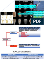 Animal Reproduction: Anggit Prima Nugraha, S.Si., M.Sc. Prodi Biologi, Fakultas Sains Dan Teknologi Universitas Jambi