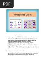 Cuestionario de Tincion de Gram de Teoria