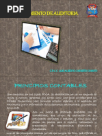 Principios Contables