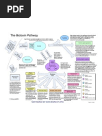 Bio Toxin Pathway