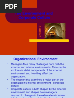 PPT - The Environment and Corporate Culture