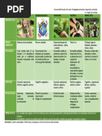 Actividad 1. Cuadro Comparativo de Diferencias y Similitudes Corrientes Pedagogicas