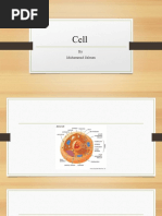 Cell