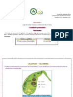 Tarea Unidad 3 GASTRO 3-2021 COLELITIASIS COLECISTITIS PANCREATITIS Yrma Peña 2154782