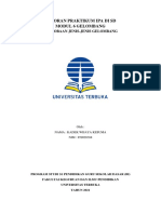 Praktikum 6 Jenis-Jenis Gelombang, Pemantulan Gelombang, Dan Struktur Dan Fungsi Telinga Kadek Wijaya Kesuma NIM 859020388