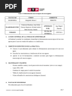 Guía N°2 - Determinación Macroscópica de Rocas Ígneas