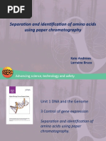 Amino Acid Chromatography